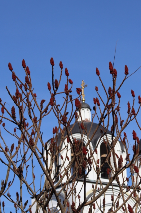 КРЕСТОПОКЛОННАЯ НЕДЕЛЯ