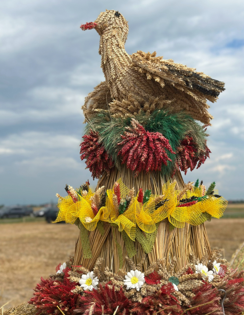 Настоятель храма Успения Пресвятой Богородицы аг. Крупица иерей Константин вместе с прихожанами 25.07 принял участие в празднике начала жатвы «Зажинки» Минского района.